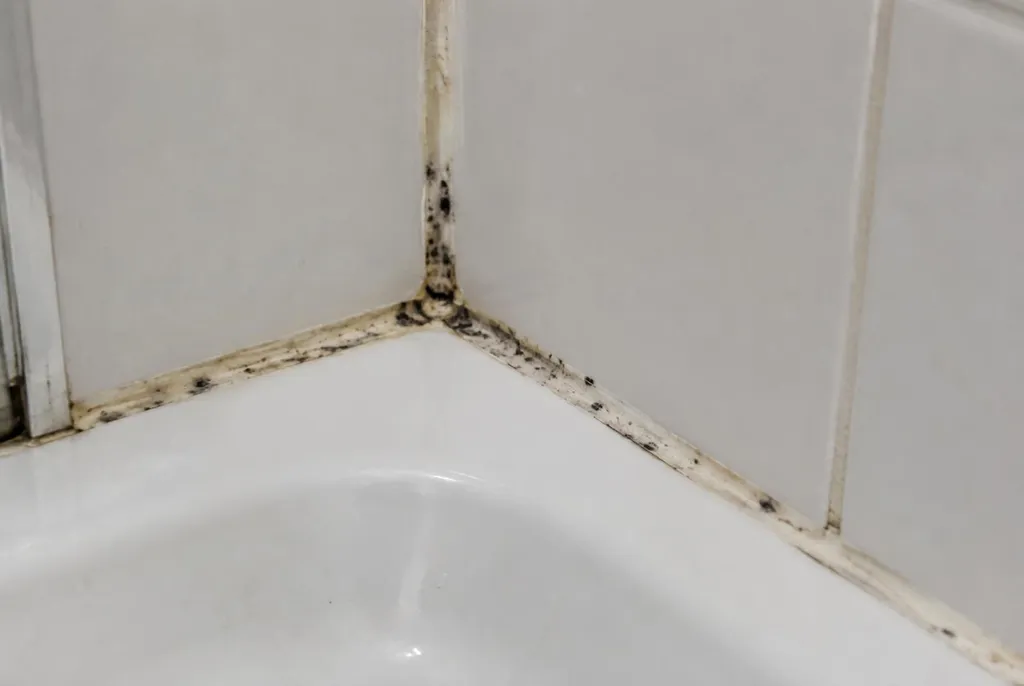 Kitbedrijf Wijchen – beschimmelde kitranden